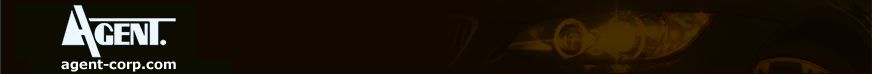 AGENT �Z�L�O�`